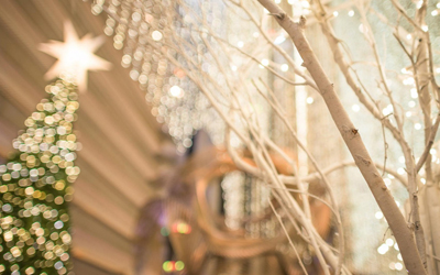 The E-commerce Effect